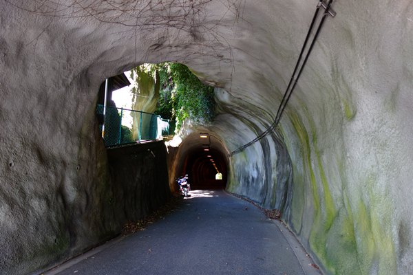 日田のトンネル.JPG