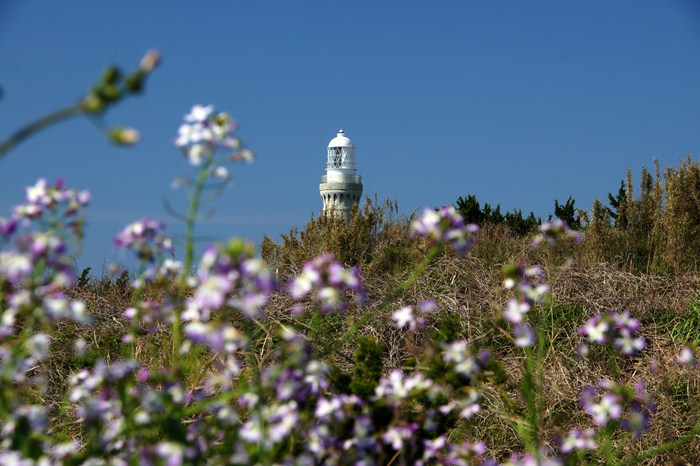 角島灯台は今日も綺麗でした.JPG